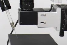 京东影业影视传媒